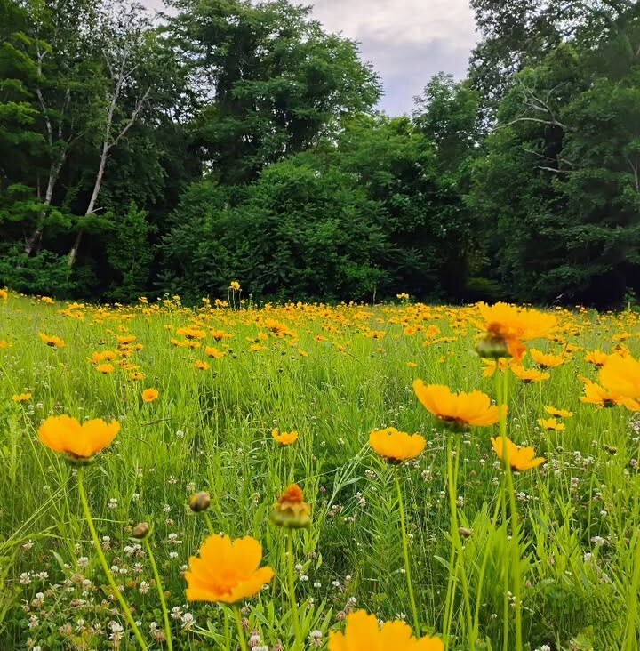 The Gift of Grace: Understanding God’s Unmerited&nbsp;Favor