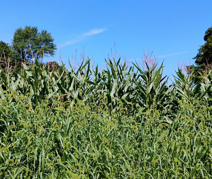 Trusting God Through&nbsp;Uncertainty