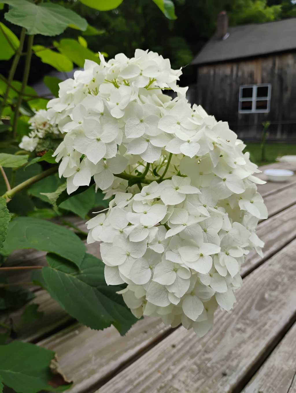 Abiding in Christ: A Path to True&nbsp;Fulfillment