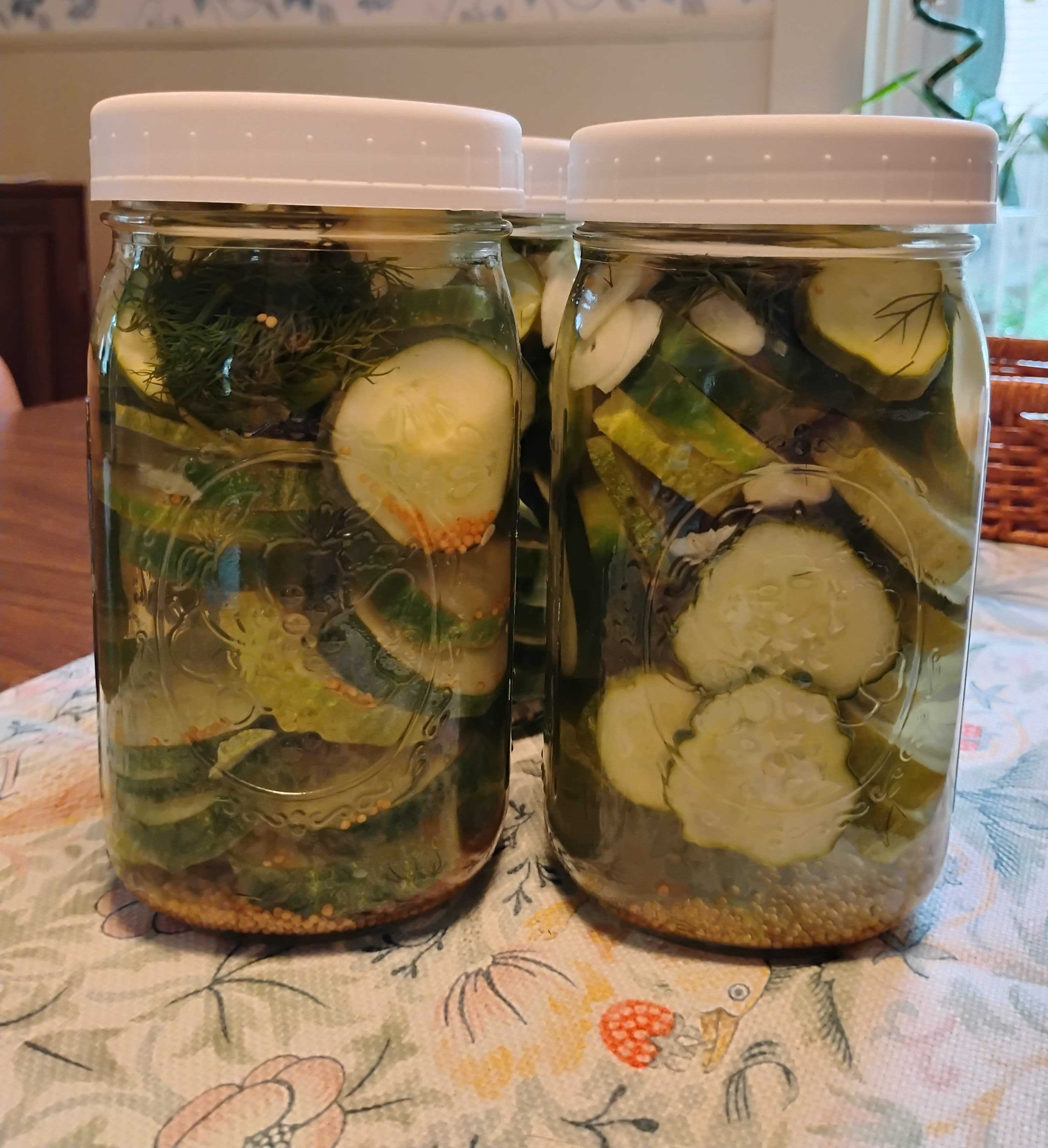 Classic Dill Pickles Recipe: Garden to Jar
