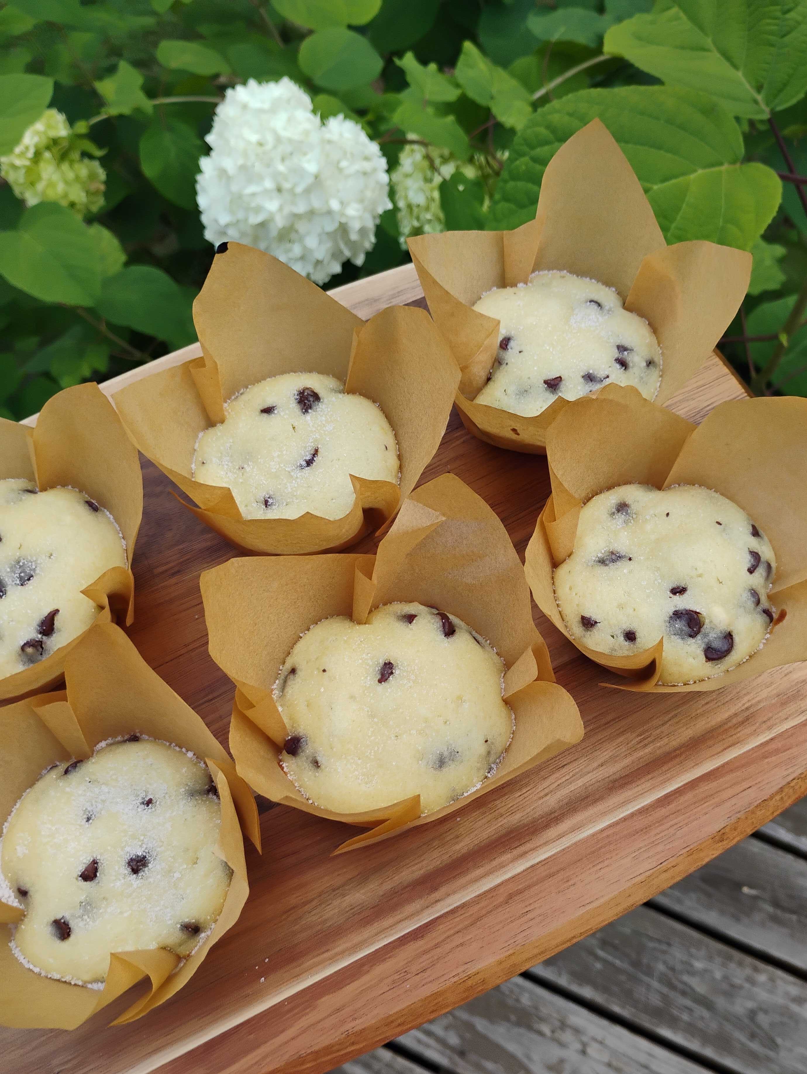 Delicious Sourdough Chocolate Chip Muffins