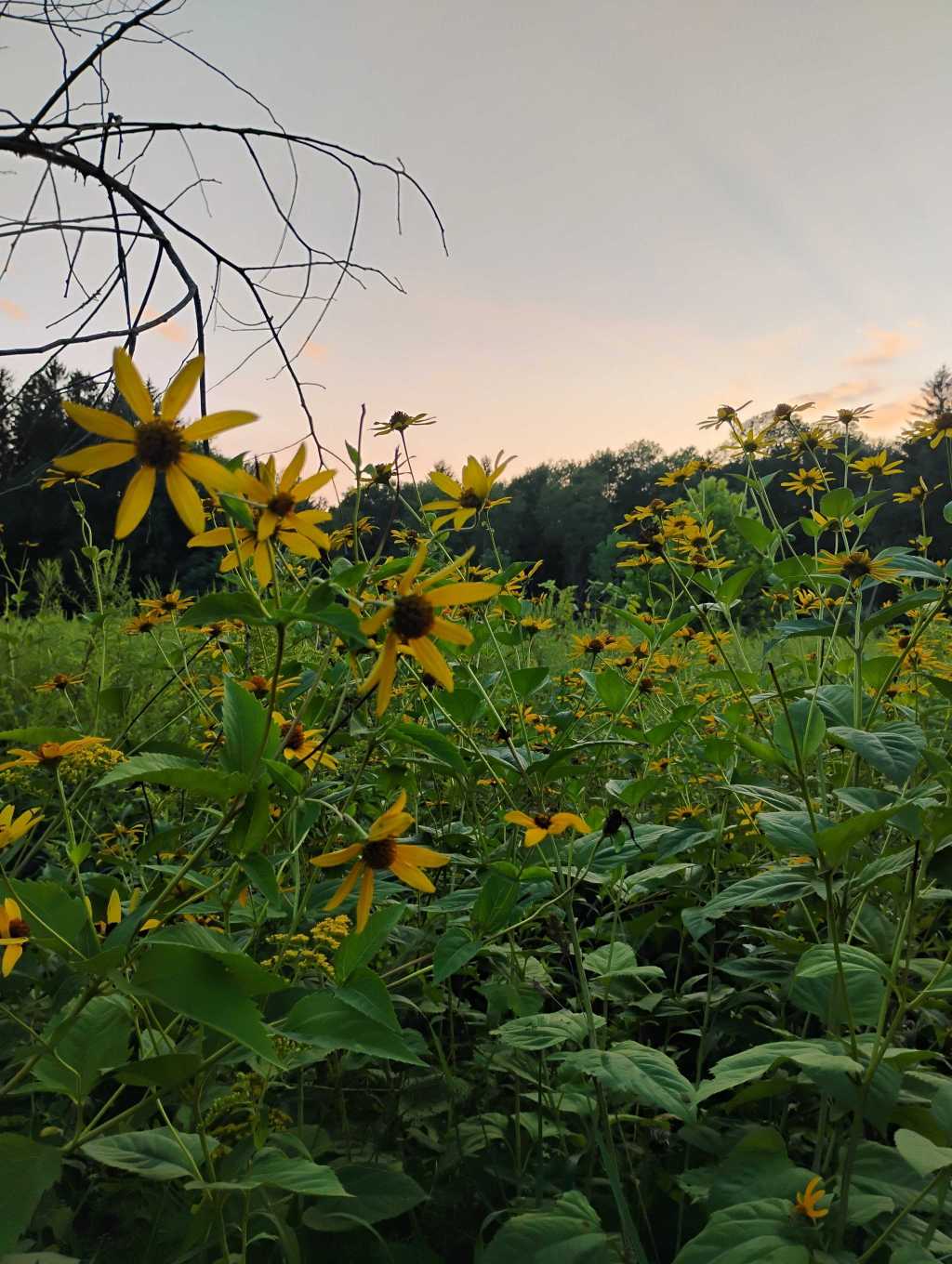 Finding Peace Through Honest&nbsp;Confession