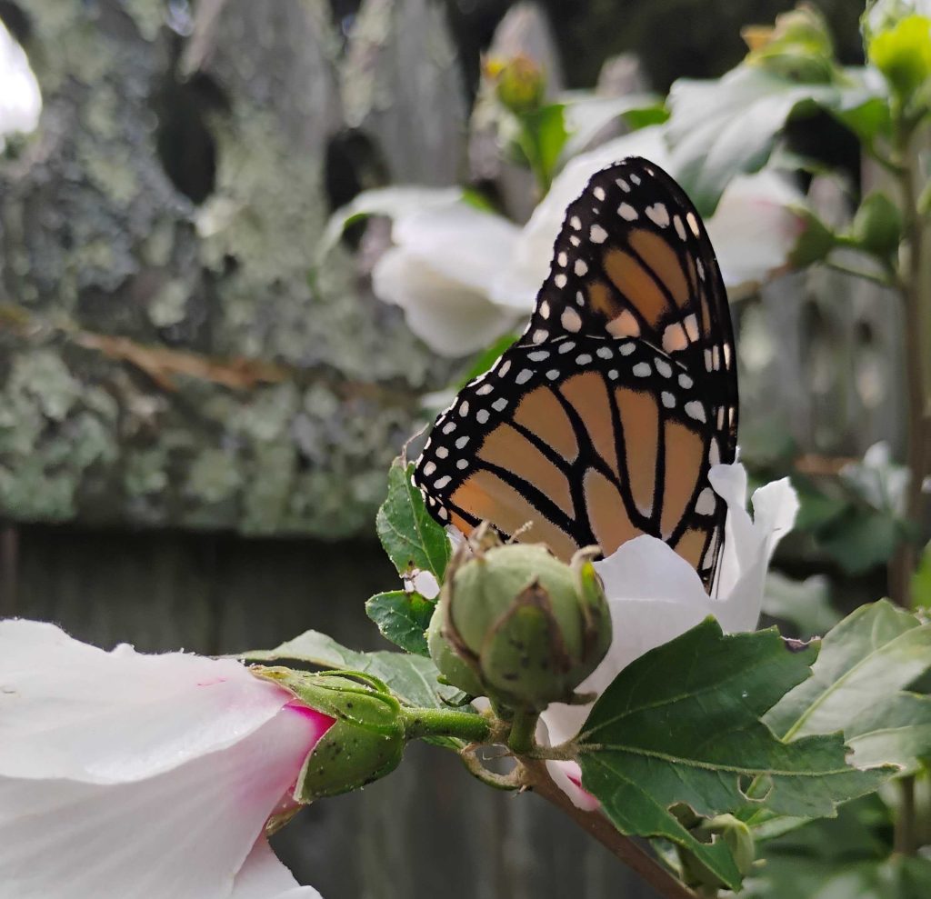 Trusting God’s Timing