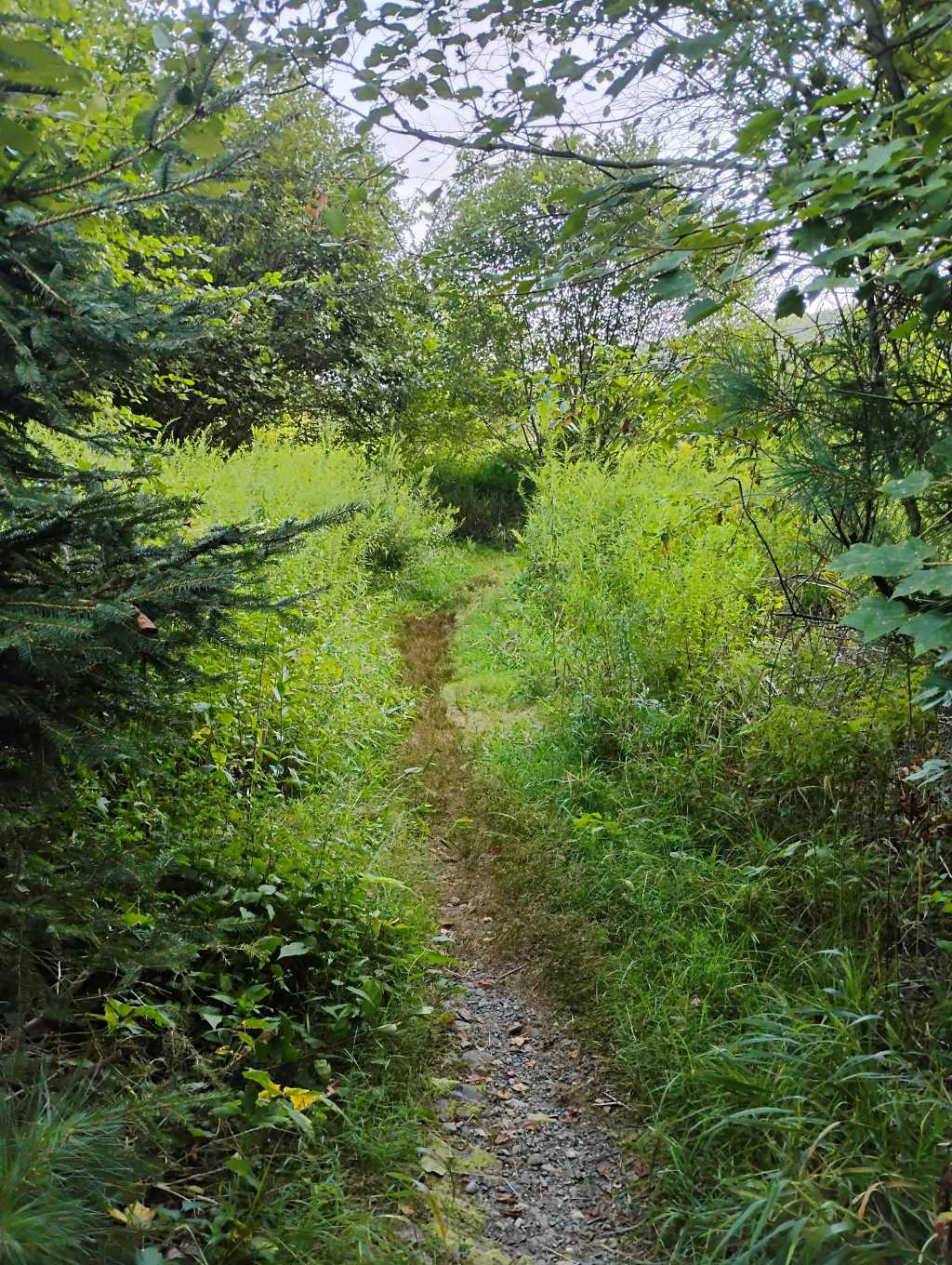 Lessons from John the Baptist: Living with&nbsp;Purpose