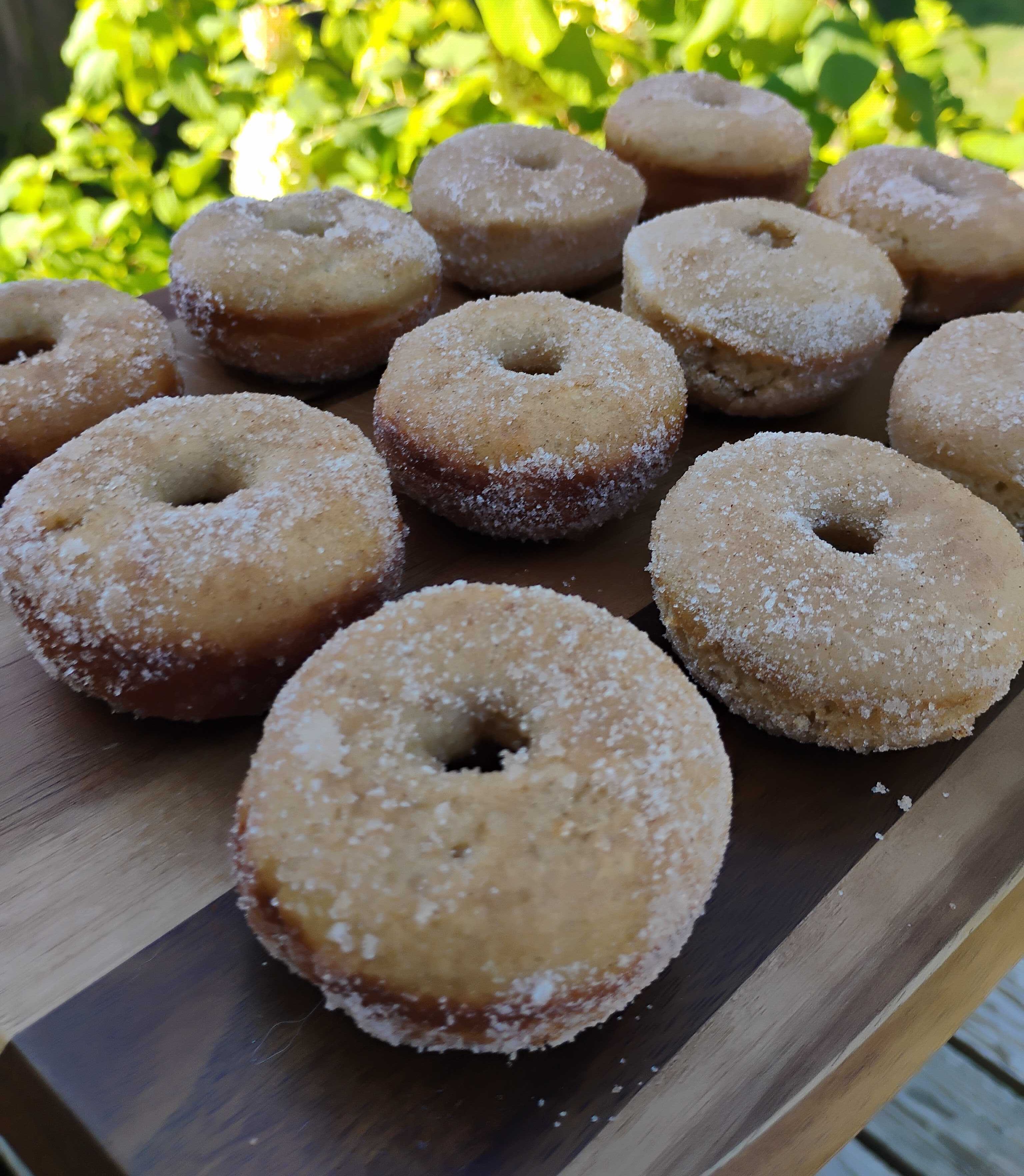 Apple Cider Mini Donuts 🍎