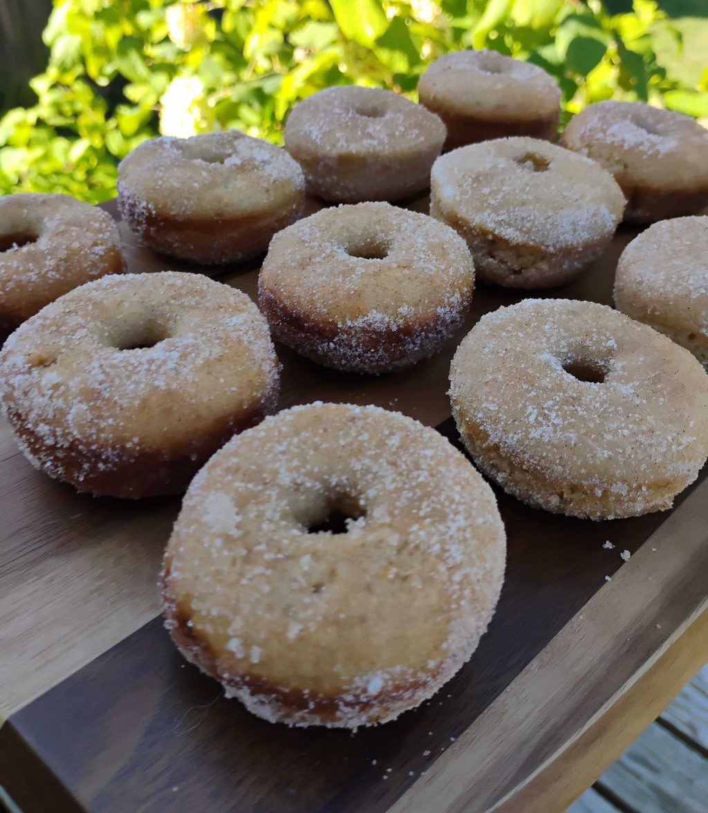 Apple Cider Mini Donuts&nbsp;🍎