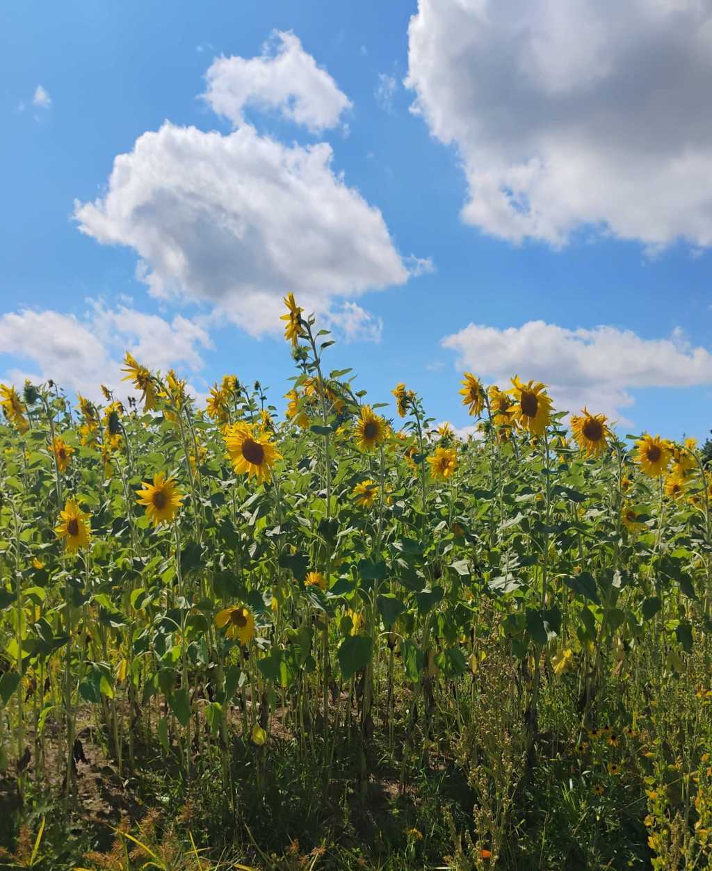 God’s Promise: Life from the Valley of Dry&nbsp;Bones