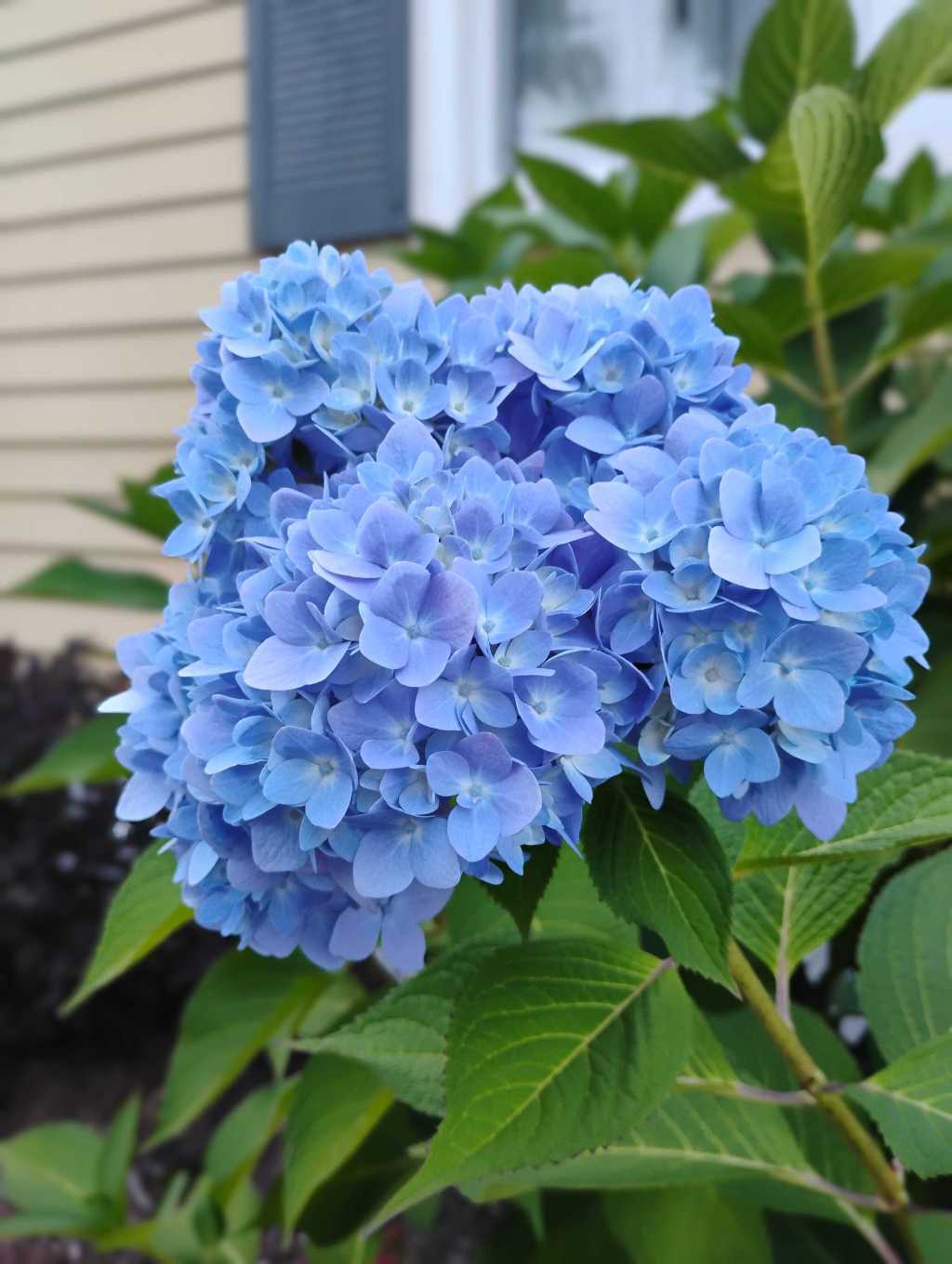 The Power of Forgiveness: Healing Through&nbsp;Accountability