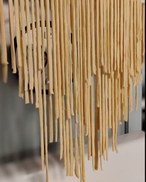 Homemade Sourdough Pasta Recipe